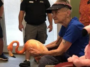 Blue Water Homecare Spreads a Little Joy in the Form of a Pink Flamingo